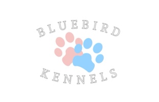 Bluebird Kennels