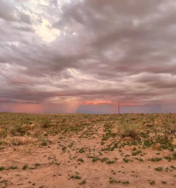 Storm clouds gather over a dry, grassy plain at sunset.