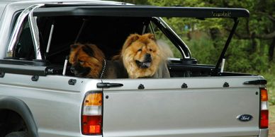 The original Rigidek bakkie lid with dogs in the back.