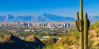 Cityscape with mountains and a large cactus in the foreground.