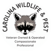 Carolina Wildlife & Pest