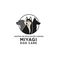 Dog Care Educación Canina