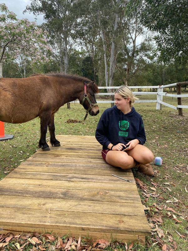 Teenager enjoy special bond with shetland pony.  Trauma-informed