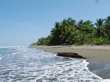 Caribbean beach front