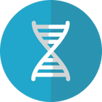 1 CALL MOBILE DNA