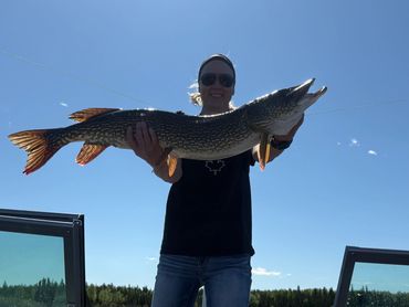 Person holding a large fish on a boat with water reflection.