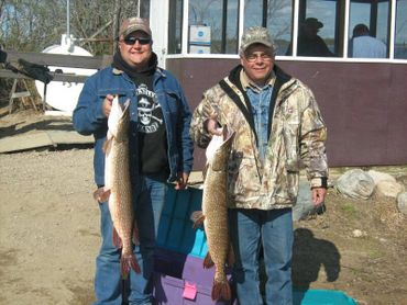 Two men proudly hold large fish they caught outdoors.