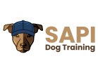 sapitraining.com
