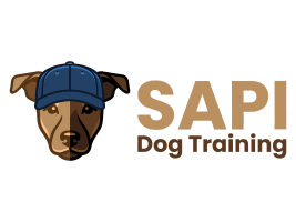 sapitraining.com