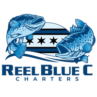 Reel Blue C  Charters