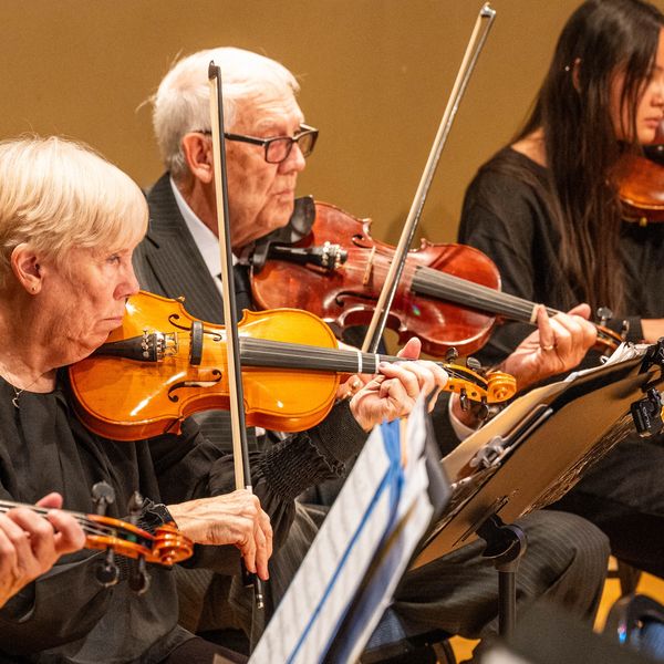 Musicians playing violins in an orchestra.