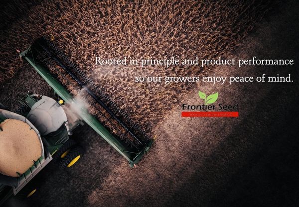 Frontier Seed Soybean Harvest