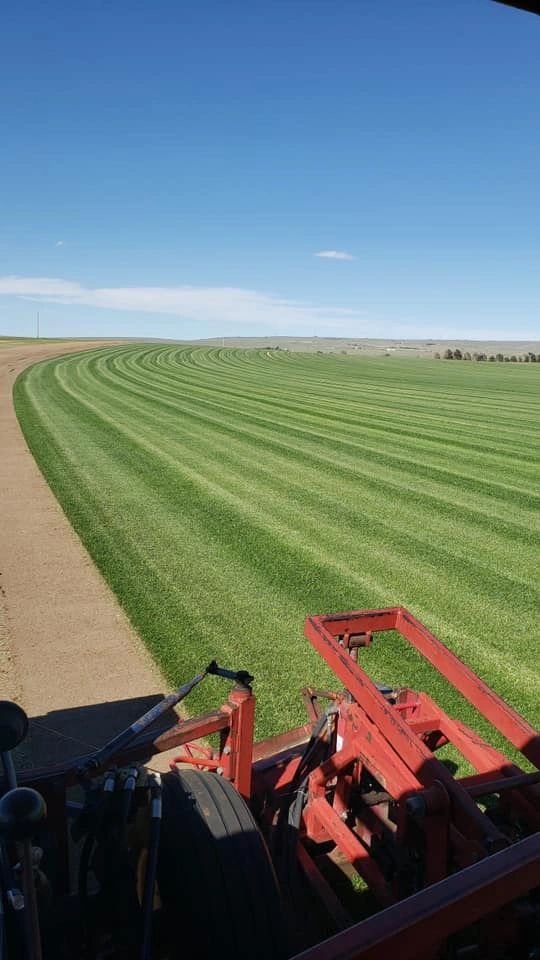 Big Valley Sod Farm