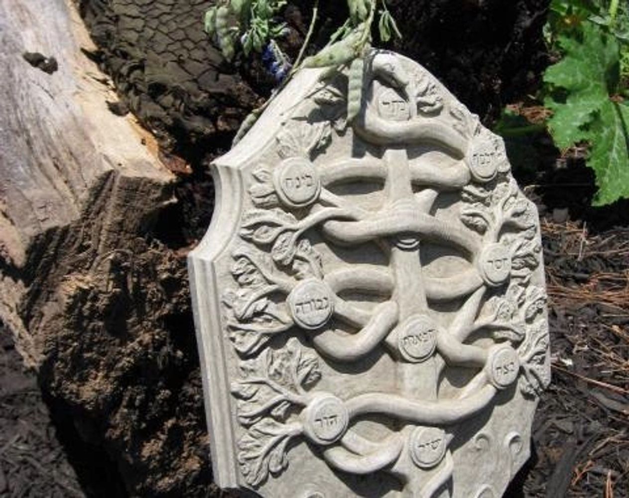 Concrete tree of life in Mir's old permaculture garden. 