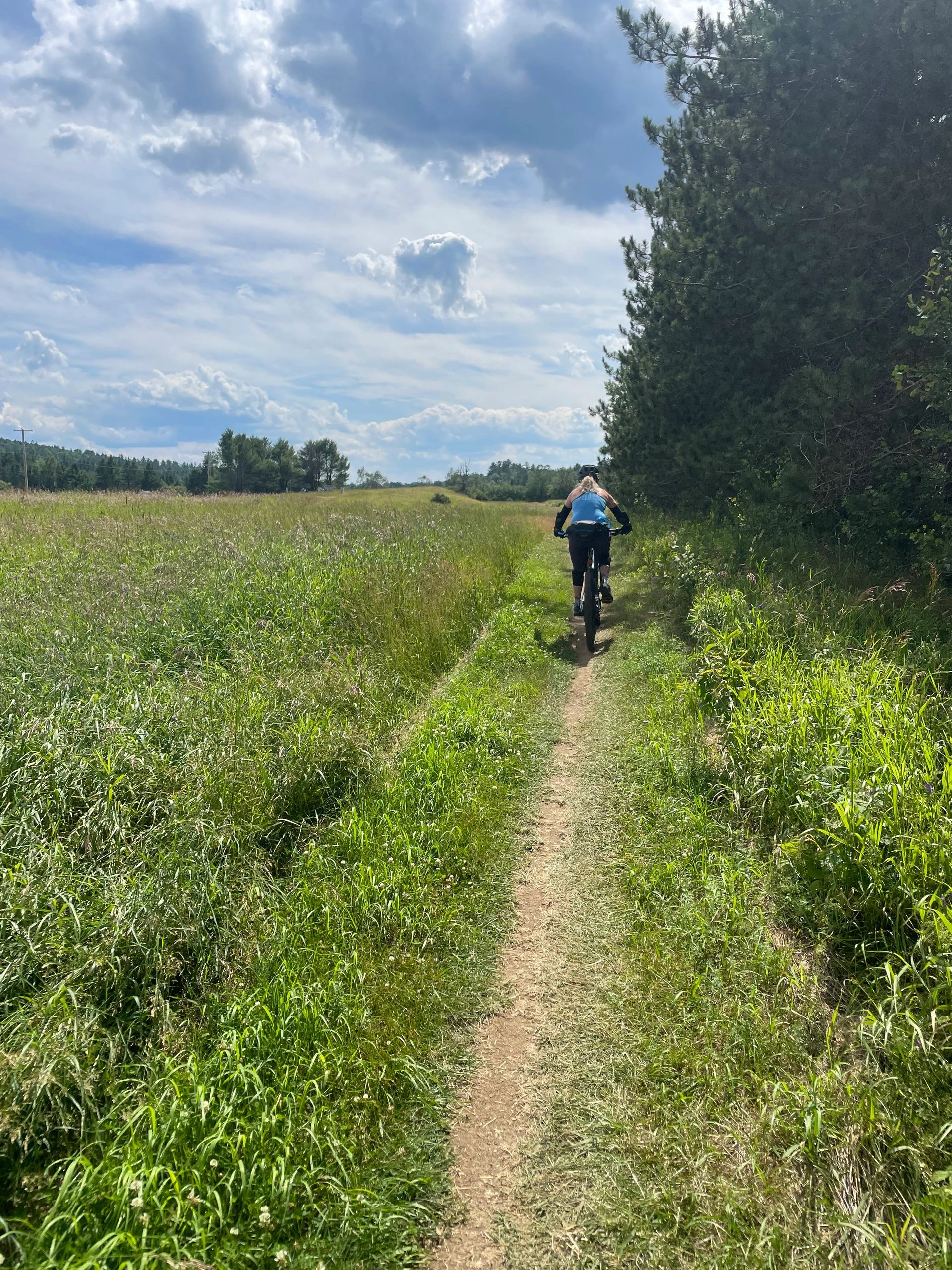 Sentier dans la prairie