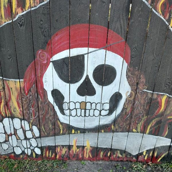 Pirate skull with eye patch and red bandana painted on wooden fence.