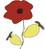 Lemon & Poppy Designs
