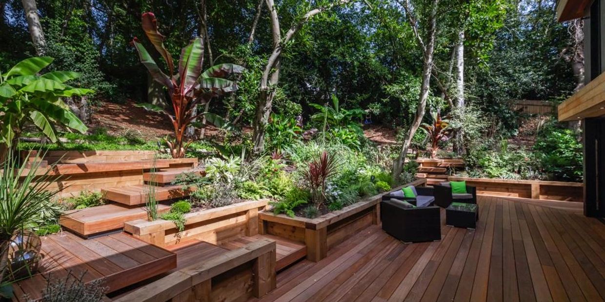 The Daintree - Rainforest inspired garden designed and built by Oakham Landscapes Limited