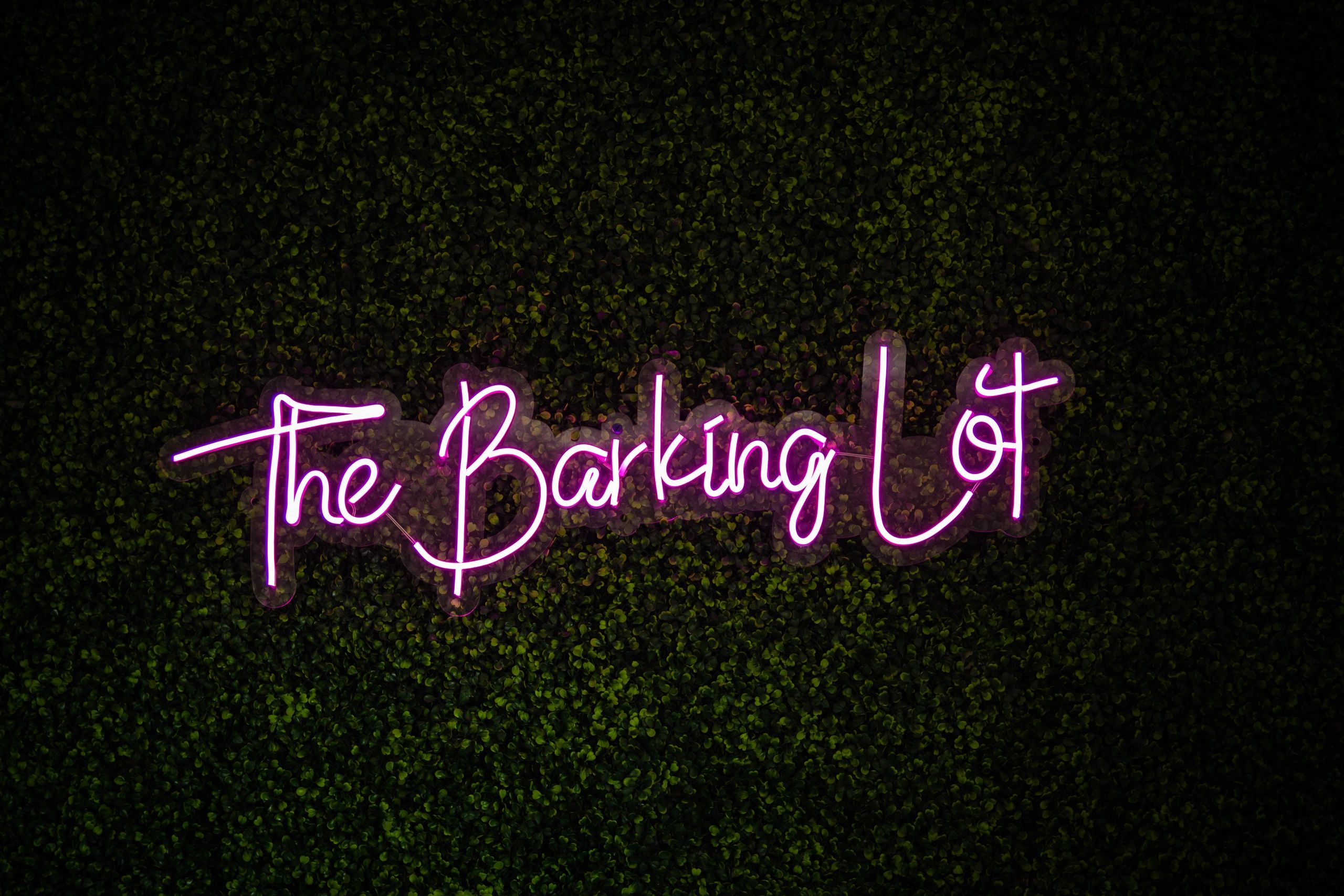 The Barking Lot