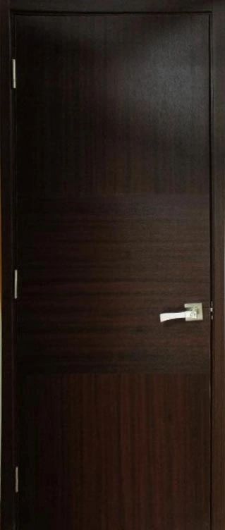 Villa Contemporary Interior Door