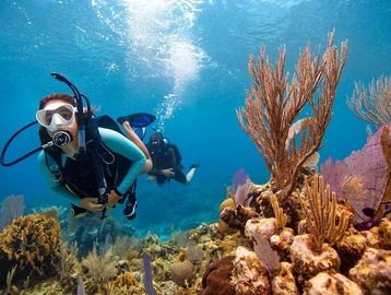 Open Water Diving Certification
PADI
