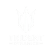 tridentdynamics.com