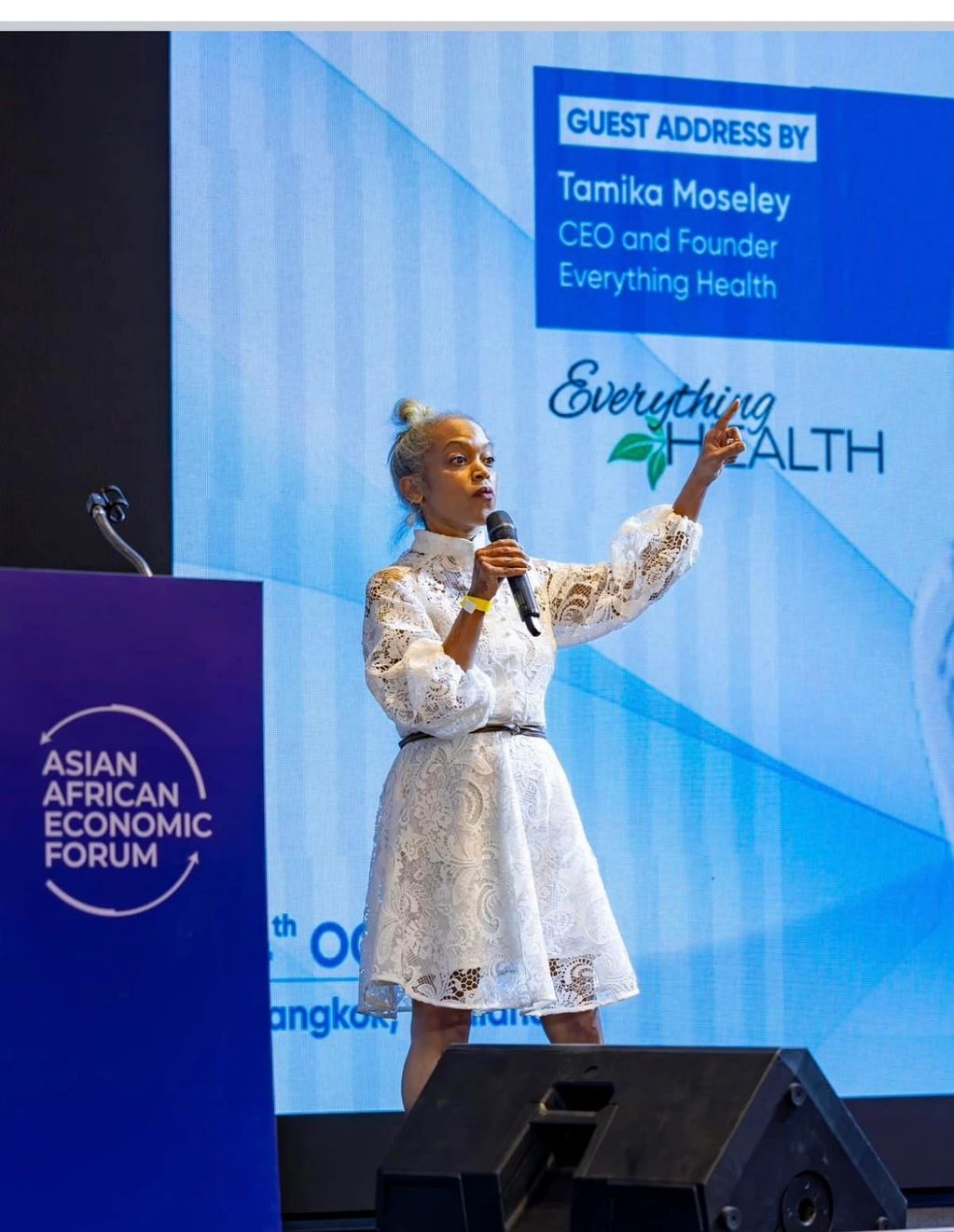  Asian African Economic Forum 2024