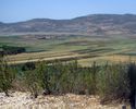 Lower Galil Nekofa Valley