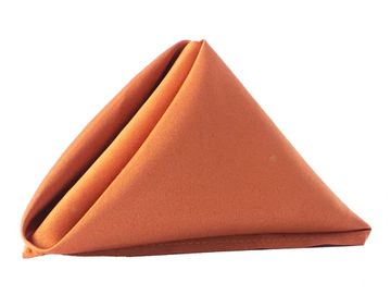 https://img1.wsimg.com/isteam/ip/dc2f6fd4-7f81-4534-9909-a41ec055c279/Lamour-satin-napkin-terracotta.webp/:/cr=t:18.14%25,l:7.63%25,w:84.75%25,h:63.72%25/rs=w:360,h:270.6766917293233,cg:true,m