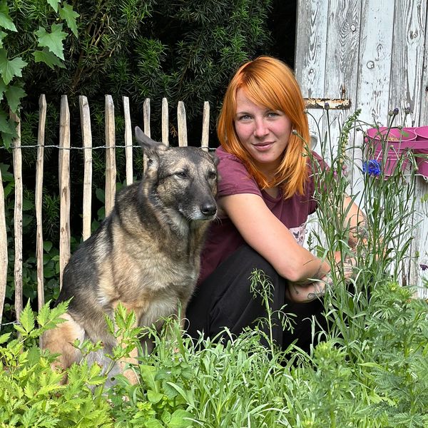 Als qualifizierte und zertifizierte Tierpsychologin habe ich mich auf die Bereiche Hunde und Pferde 