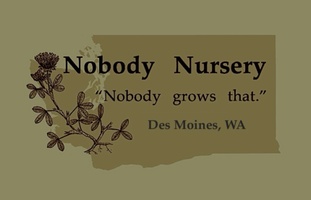 Nobody Nursery