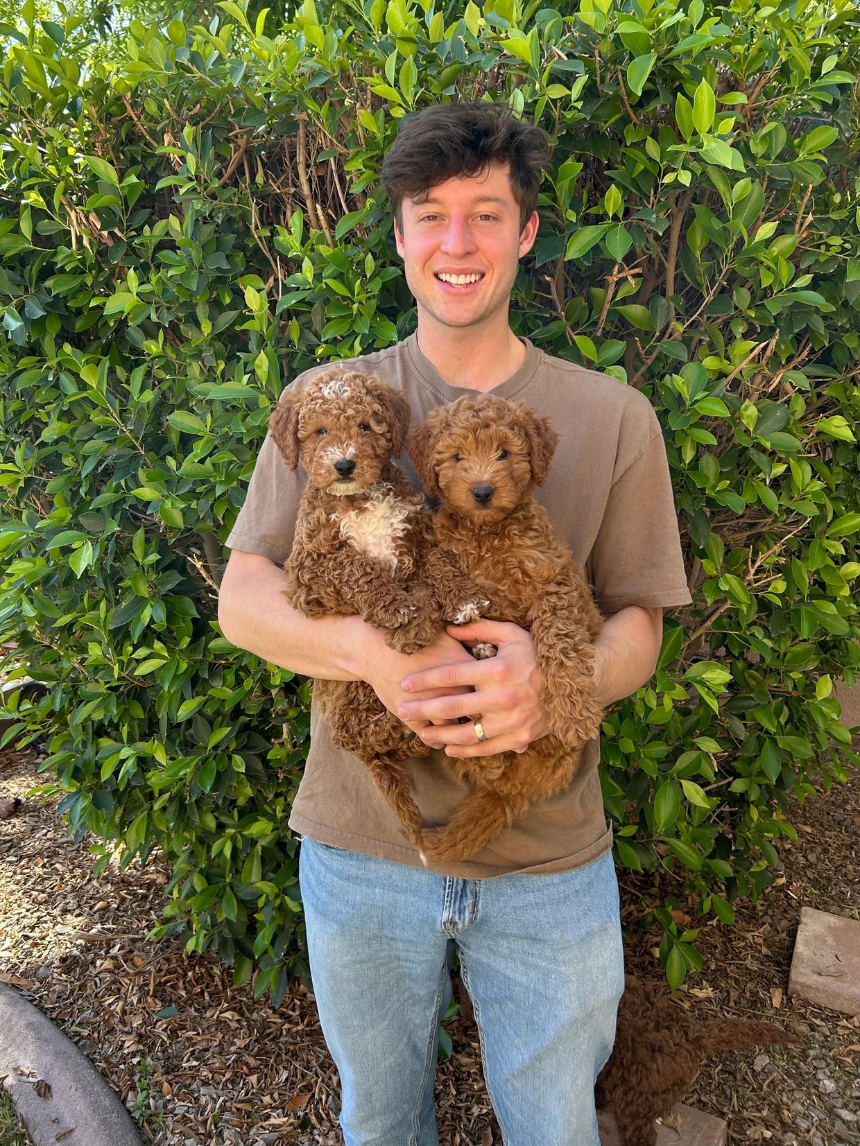 Young man holding two curly-haired puppies outdoors with greenery in the background.