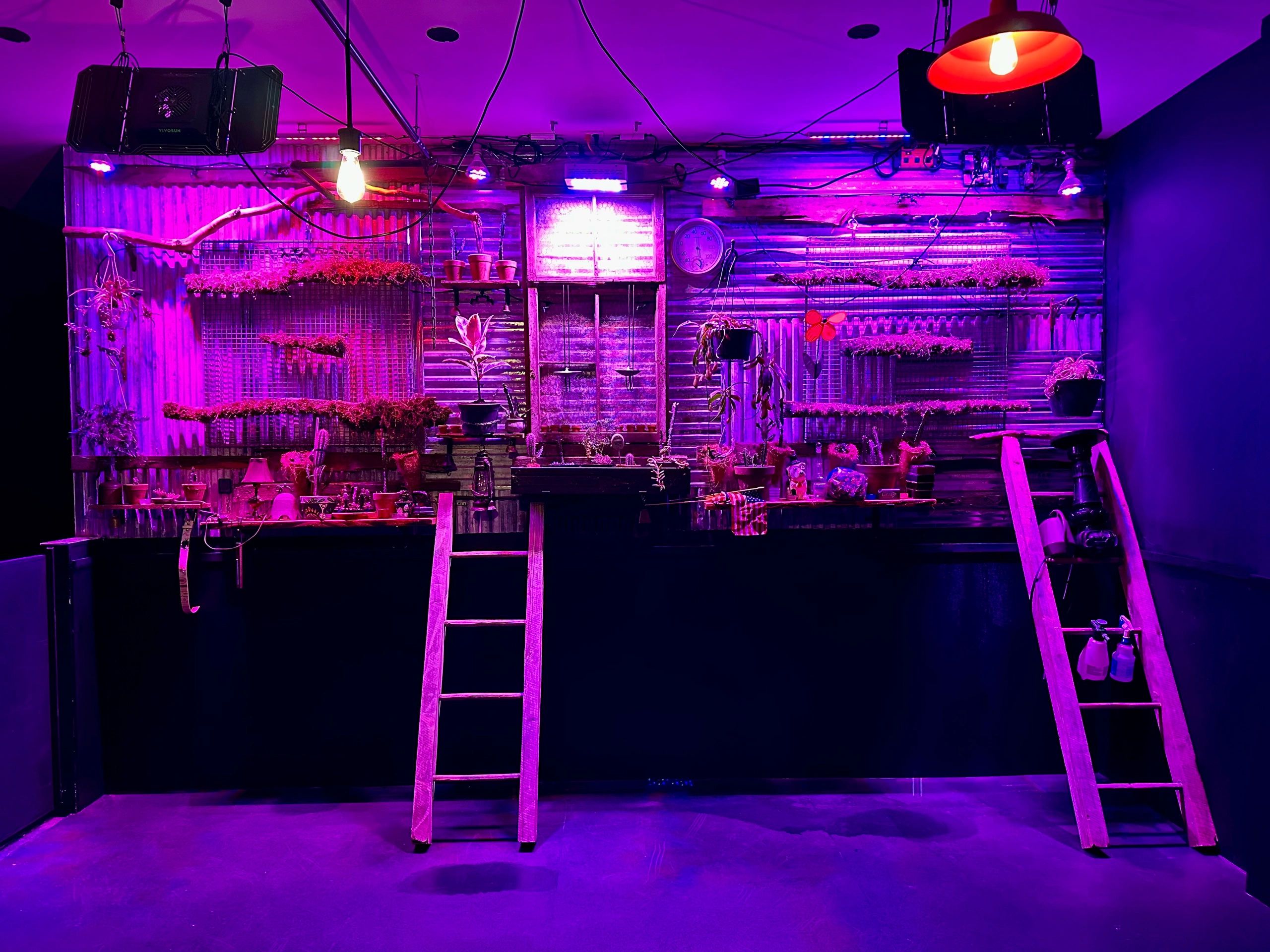 Brooklyn Canine Club