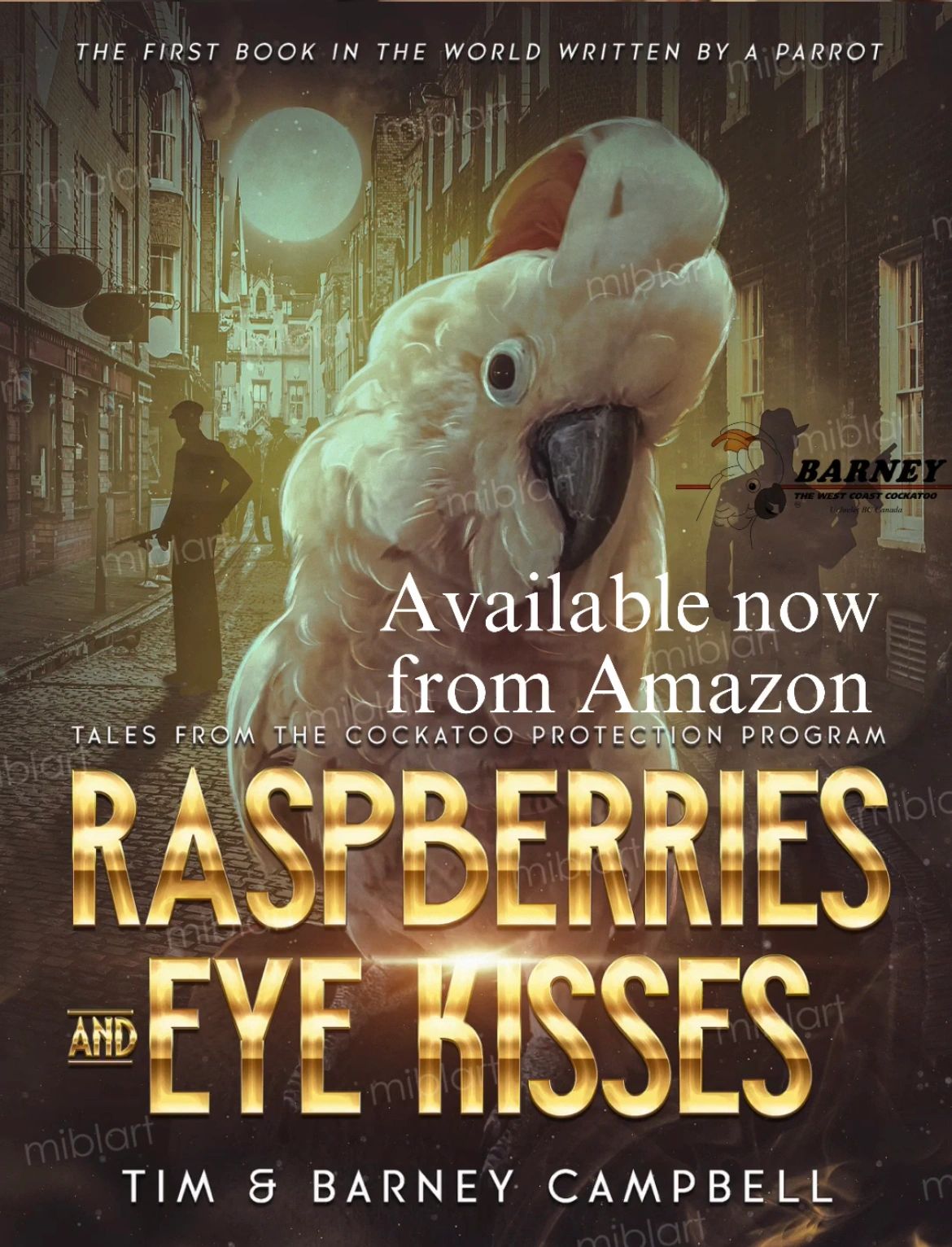 Raspberries and Eye Kisses - Barney's new book on Amazon!