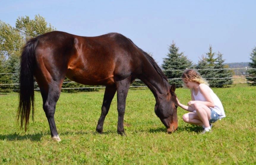 Geitner Homestead Equine Campground