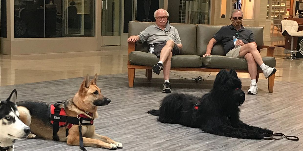 Service Dog Training - Kaleidoscope Dog Services Service Dog Training - Kaleidoscope Dog Services