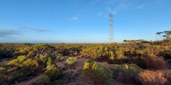 Power lines stretch across a green shrubland under a clear blue sky.
