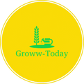 Groww Today Financially 
