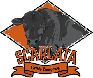 SCARLATA CATTLE COMPANY