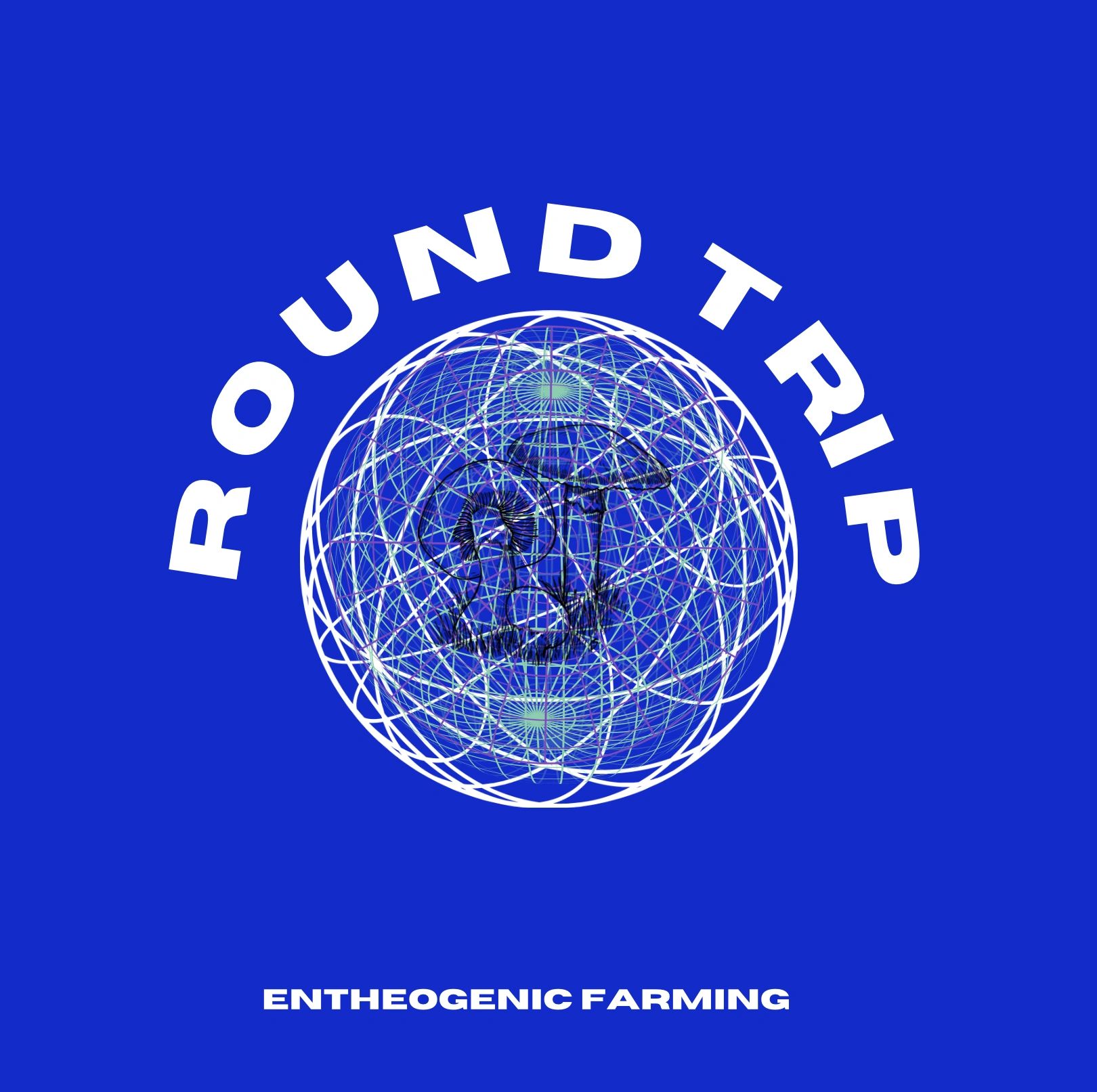 ROUND TRIP