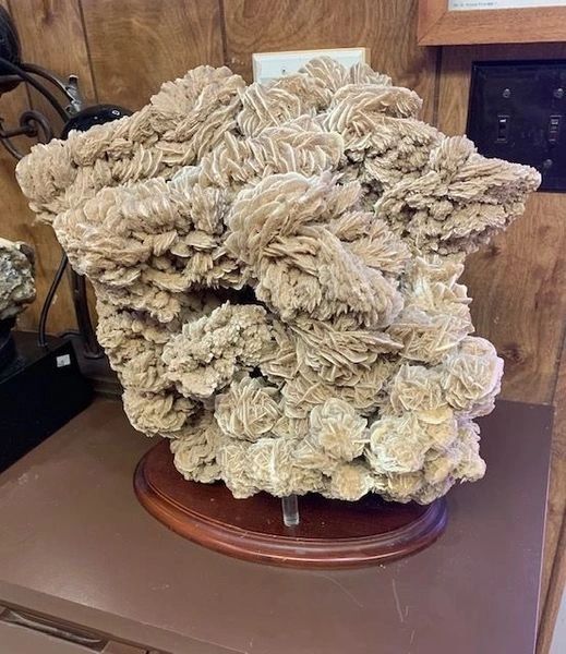 EXTRA LARGE DESERT ROSE