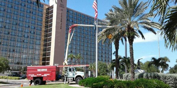 A tree service truck with a lift working near palm trees by a tall hotel building.