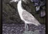 YELLOW CRESTED NIGHT HERON 24" X 18"