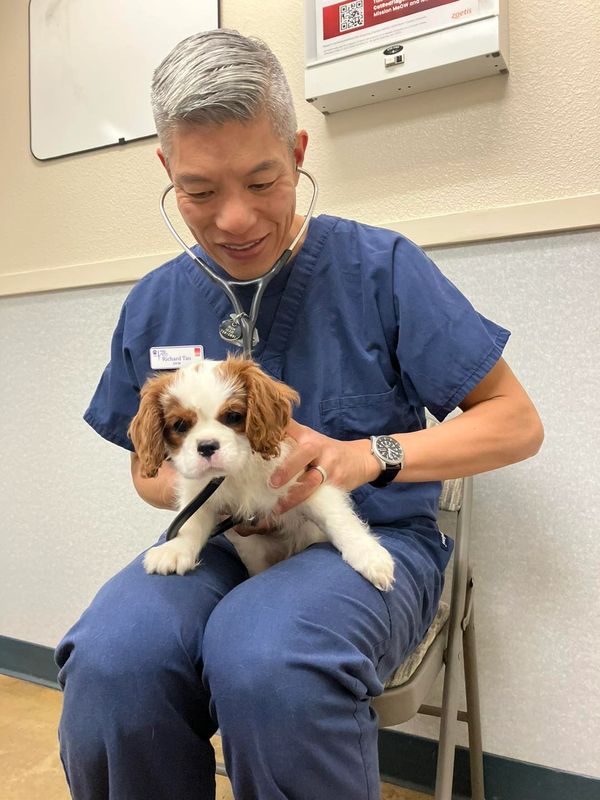 GCH Cavalier King Charles Spaniel Breeder