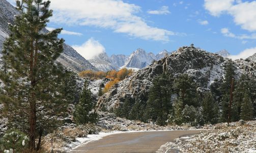 The Road Home