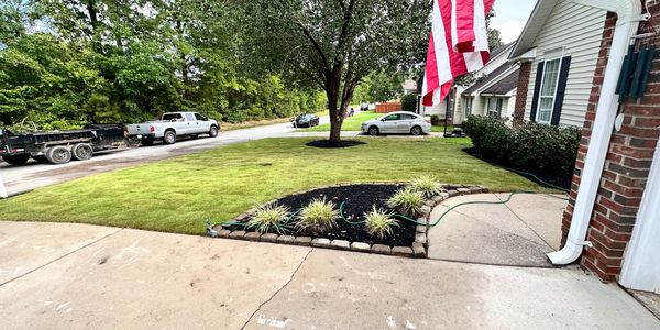 Zoysia sod installation with black mulch flower beds.