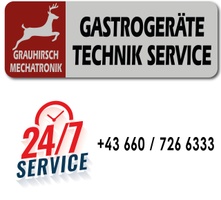 Grauhirsch Mechatronik