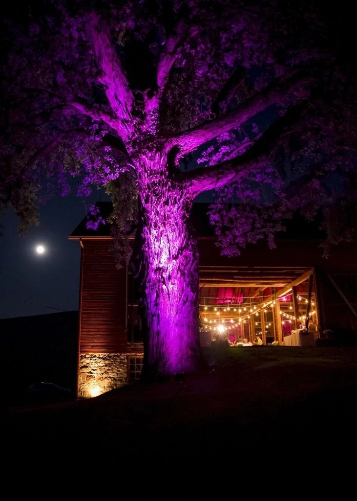 Accent Lighting Productions, LLC