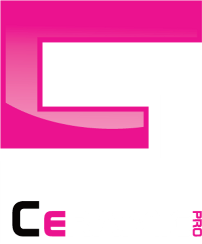 Ceramic Pro Crazy House Detailing