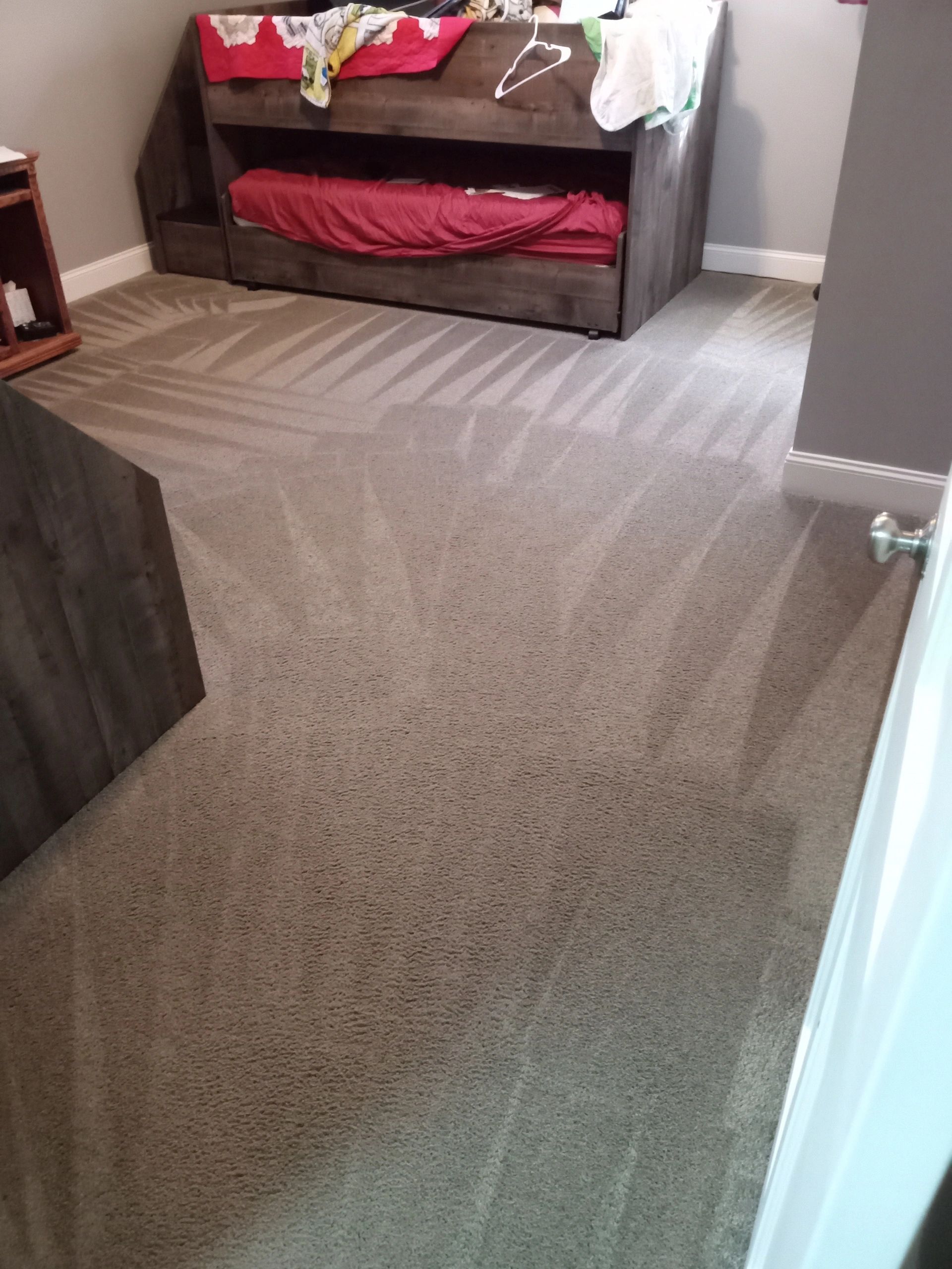 Davis Carpet Cleaning Plus